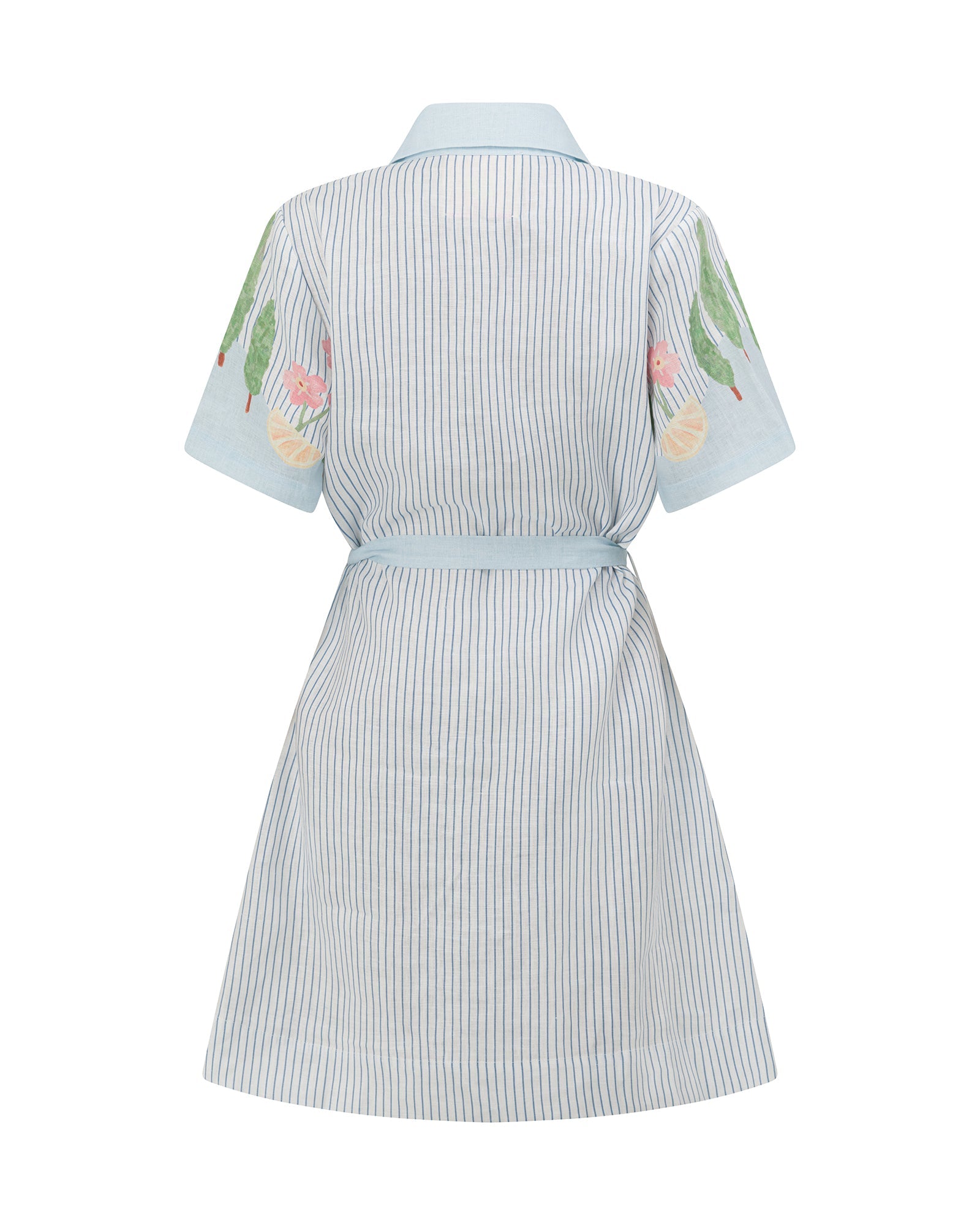 Swan Lake - Mini Shirt Dress